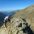 Olivier au sommet Nord du Petit Cayre de la (...)