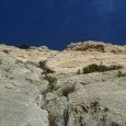 Arsenii dans L2