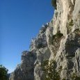 Depuis R7