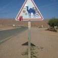 Attention aux dromadaires