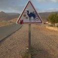 Attention aux dromadaires