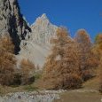 Couleurs d'automne