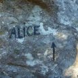 Alice Aux Pays Des Merveilles