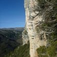 Depuis R1