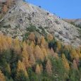 Couleurs d'automne