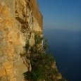 La falaise du Draïoun depuis R3